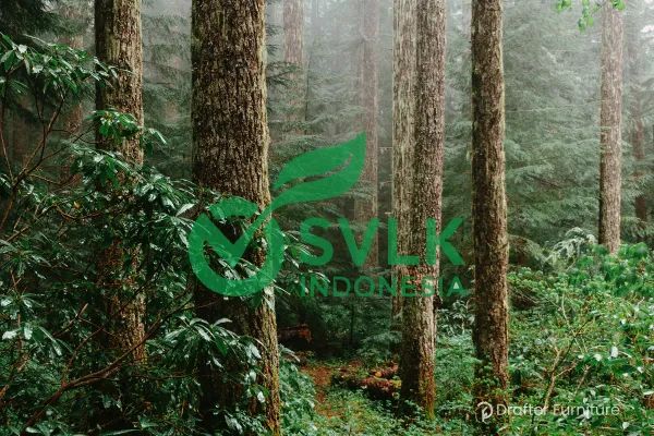 SVLK Adalah: Logo, Sertifikat, CoC, dan Perannya di Industri Kayu Indonesia 2026