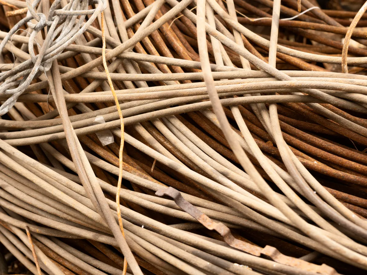 Rotan